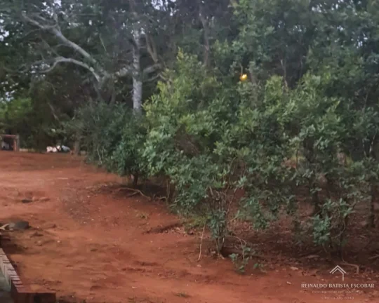 Imagem Chácara à venda a no Recanto dos Pintados às margens do Rio Aquidauana