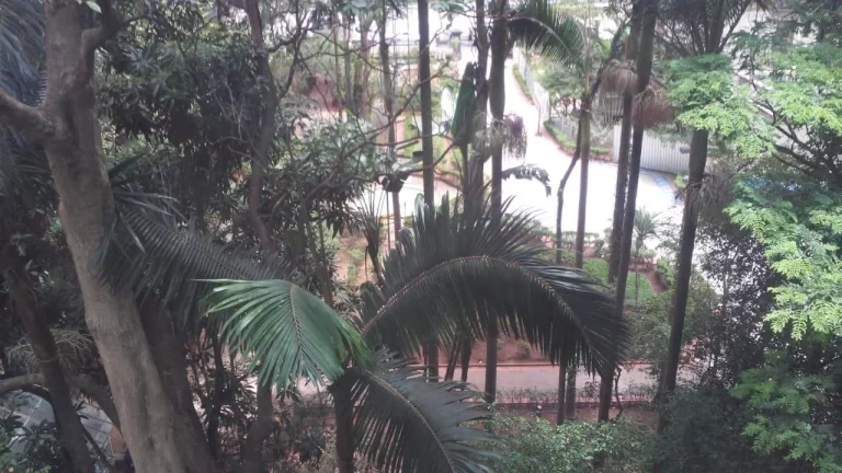 Imagem Laje comercial na Avenida Paulista
