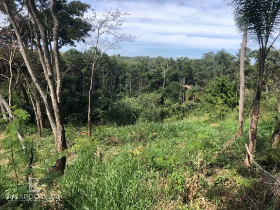 Imagem À venda: um lindo terreno plano de 378m² na encantadora cidade de Bom Jesus dos Perdões!