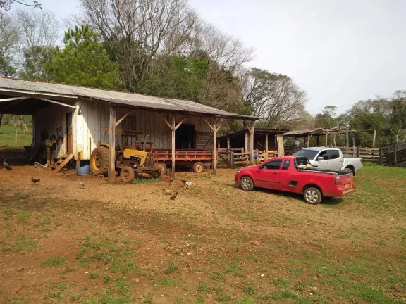 Imagem Fazenda com 2 dormitórios em Pinhal Grande - Laranjal