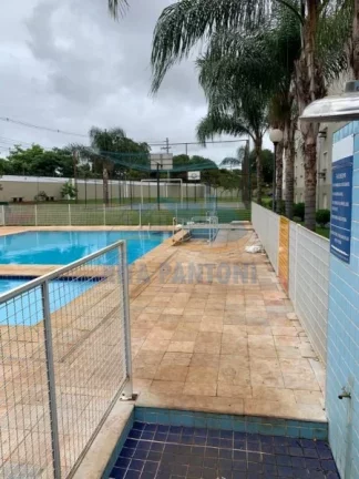 Imagem Apartamento - Ribeirão Preto - Vila Virgínia - Região Oeste