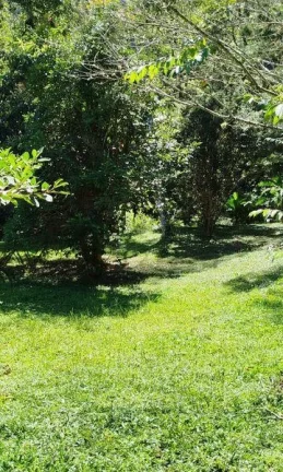 Imagem Terreno Comercial para Venda em Nova Friburgo, Mury, 1 dormitório, 1 banheiro, 3 vagas
