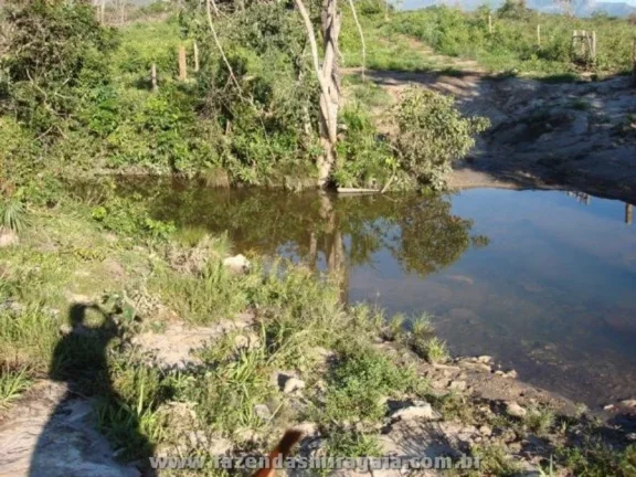 Imagem Fazenda para Venda por R$16.000.000,00 - Monte alegre, Goiania / GO - Cód. BDI24609