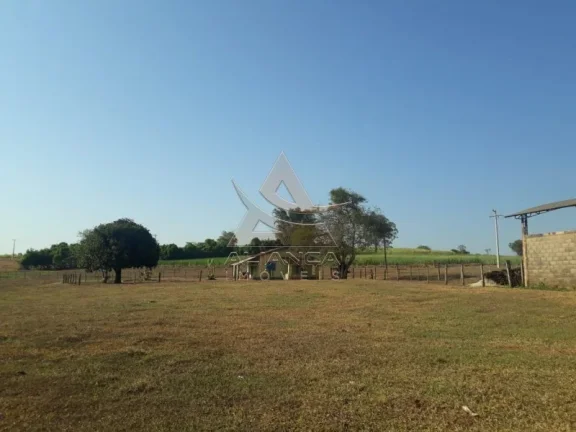 Fazenda - Cajuru - Zona Rural