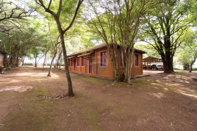 Imagem Fazenda à Venda, 830.000 m² em Jardim Do Carmo - Araraquara
