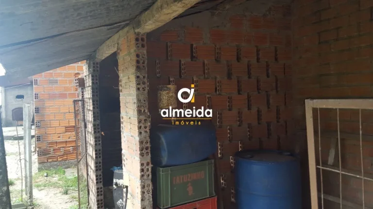 Imagem TERRENO NA BR392