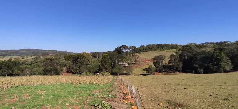 Imagem Chácara à venda em Cascavel - Área Rural com Energia Elétrica e Rio