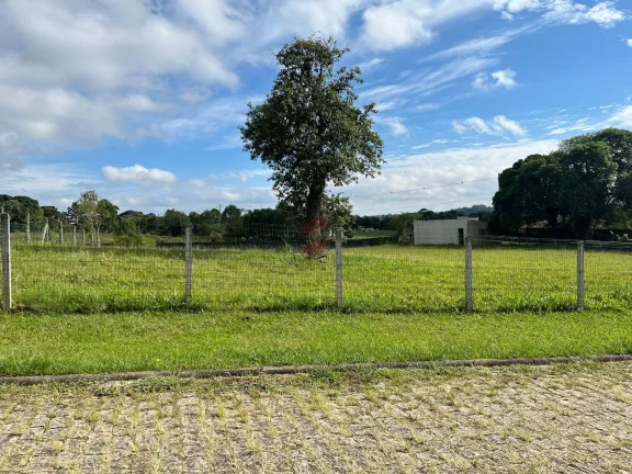 Imagem TERRENO EM CONDOMÍNIO à venda com 6250.86m² por R$ 660.000,00 no bairro planta laranjeiras - PIRAQUARA / PR