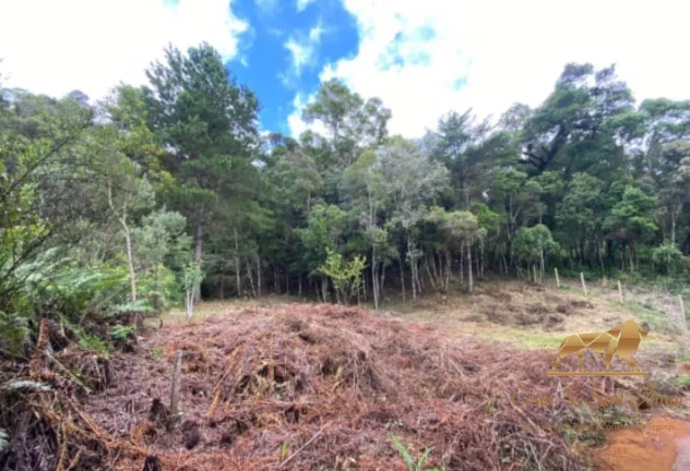 Imagem Terreno a venda no Bairro Atalaia em Campos do Jordão-SP