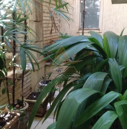 Imagem Sala - Ribeirão Preto - Jardim Sumaré