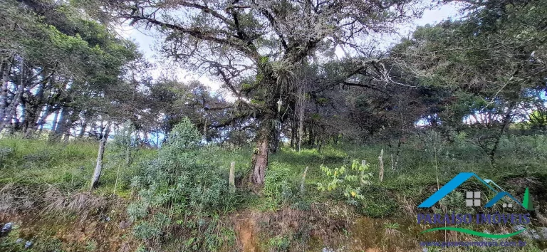 Imagem Terreno Exclusivo nas Alturas: Seu Refúgio de Sonho em Costas, Paraisópolis