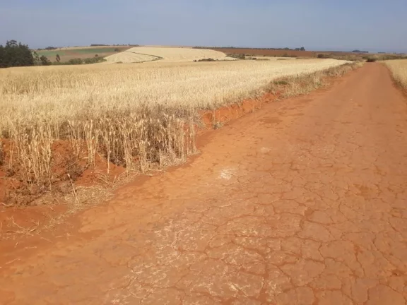 Imagem FAZENDA A VENDA - SACRAMENTO/MG