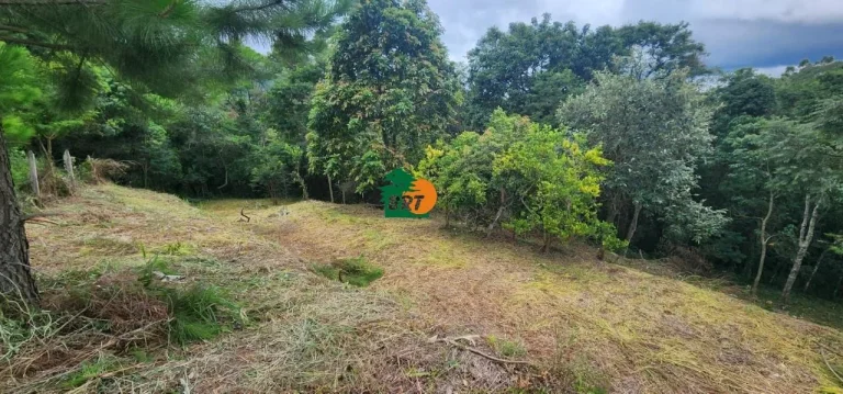Imagem Terreno para Venda em São Roque, Vila Santo Antônio