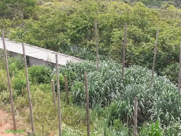 Imagem Sítio localizado na entrada do condomínio Village Juatuba, com casa , pomar, galpão.
Vista maravi...