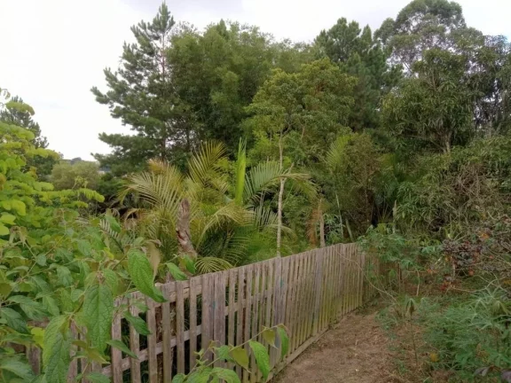 Imagem Área à venda, 1350 m² por R$ 350.000,00 - Chácaras Ceres - Suzano/SP