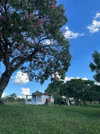 Imagem Maravilhoso Sítio à Venda em Porangaba - SP