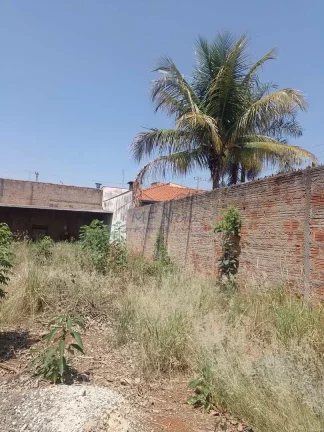 Imagem Terreno Padrão
