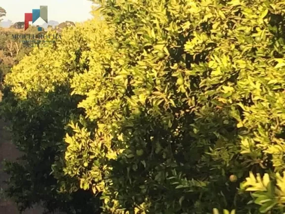 Imagem Fazenda à venda no bairro Centro - Tatuí/SP