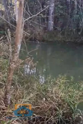 Imagem Chácara em Zona Rural de Mesquita