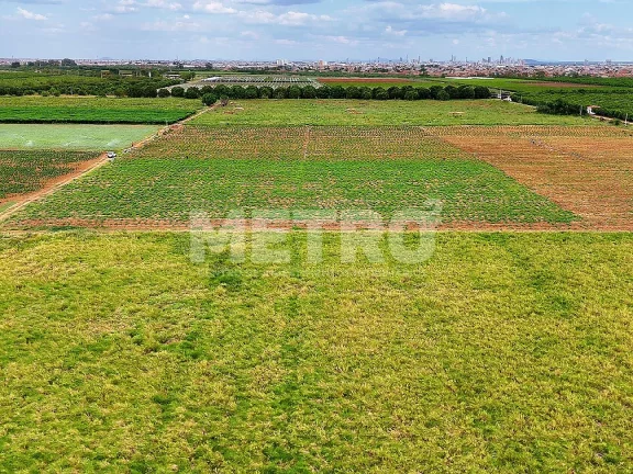 Imagem Fazenda com 116ha, Casa, Galpão, 25ha plantados e mais 32 prontos para plantar