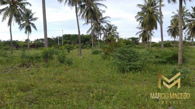 Imagem Terreno à venda, 247664 m² por R$ 1.200.000,00 - Zona Rural - Beberibe/CE