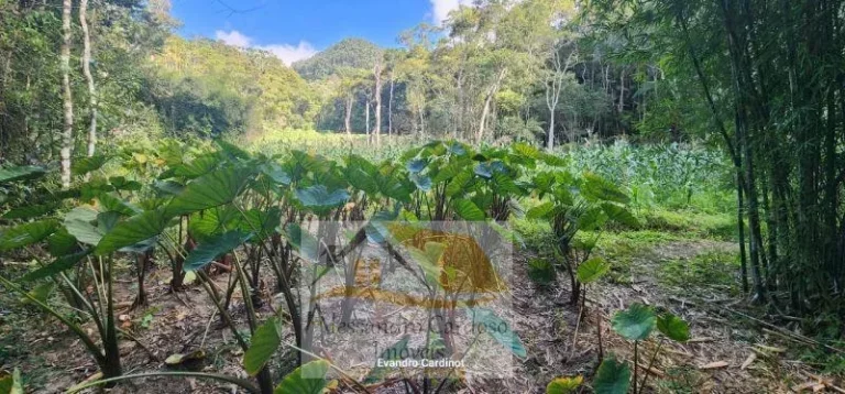 Imagem Terreno, 23.000m2 à venda em Stucky
