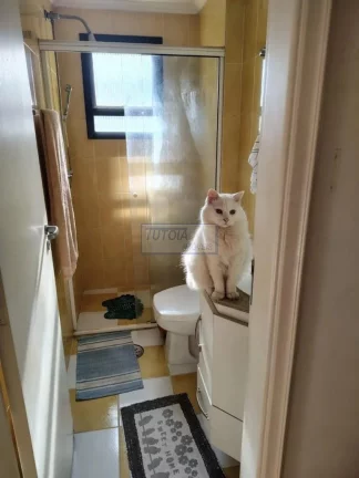 Imagem APARTAMENTO A VENDA NA VILA GUARANI,SÃO PAULO
