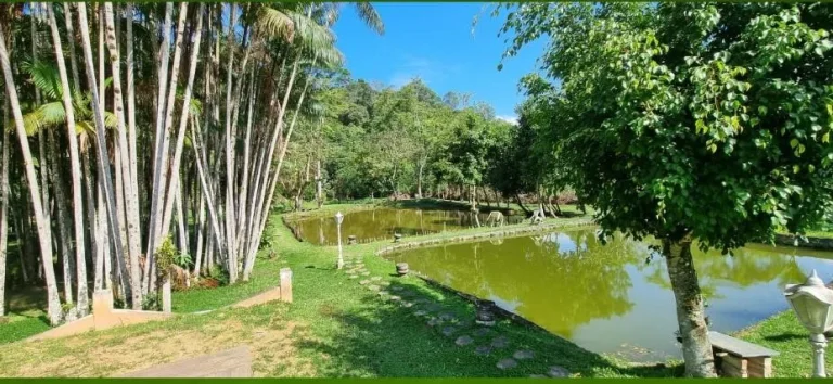 Imagem Sítio para Venda em Pedro de Toledo, Manoel da Nóbrega, 5 dormitórios, 2 suítes, 6 banheiros, 20 vagas
