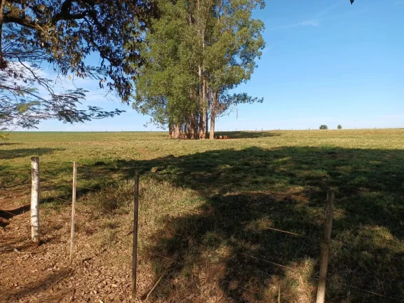 Imagem FAZENDA AVARÉ-SP
