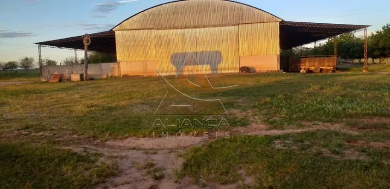 Imagem Fazenda - Guaraí - Guaraí