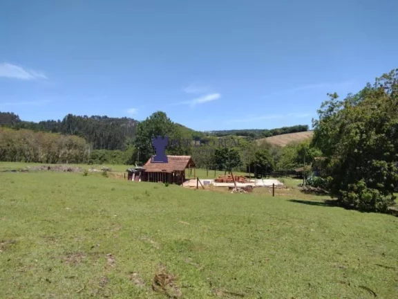 Imagem CHÁCARA COM 143.897M² NA REGIÃO DE BALSA NOVA