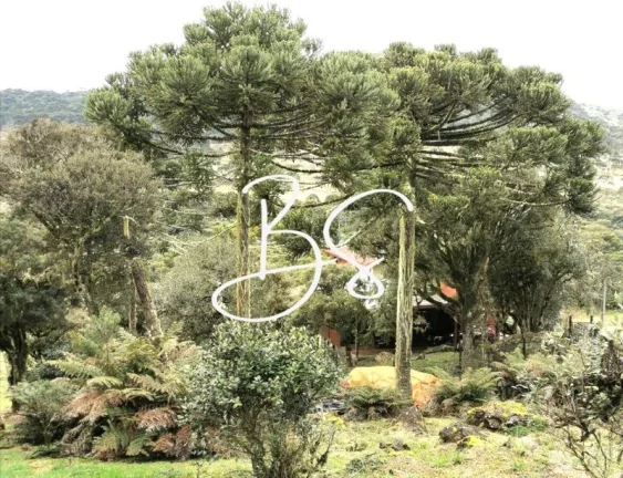 Imagem SITIO RURAL em URUBICI - SC, Urubici