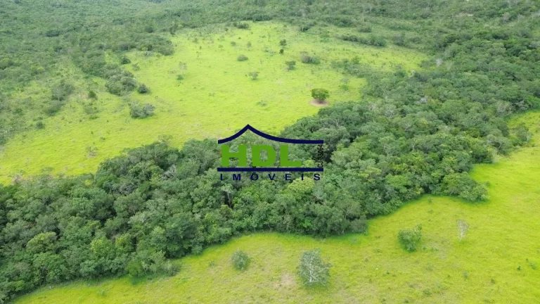 Imagem Fazenda 36 Alqs com 2,5 kms beira Rio dos Bois 60% em Permuta