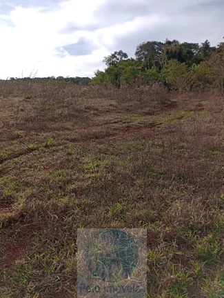 Imagem Sítio vende 10 alqueires em Altinópolis - SP, terra de cultura, vermelha e em pasto.