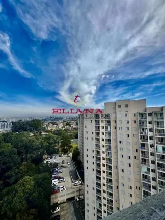 Imagem Apartamento à venda em São Paulo, Jardim Íris, com 3 quartos, 63m²