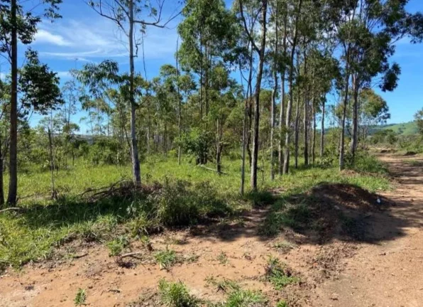 Imagem OPORTUNIDADE! FAZENDA A VENDA EM PEIXOTO (LAJE-IBIRACI)