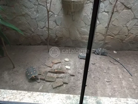 Imagem Oportunidade Única: Fazenda de 500 Hectares em Macaíba - RN