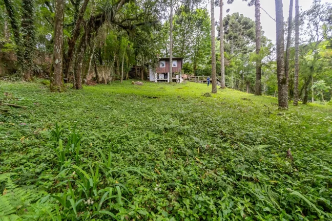 Imagem Terreno 745m2 rua sem saída Santa Felicidade