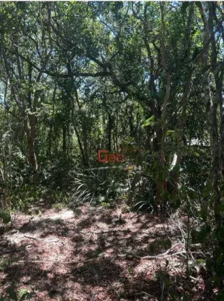 Imagem Terreno à venda, 450 m² por R$ 220.000,00 - Caravelas - Armação dos Búzios/RJ