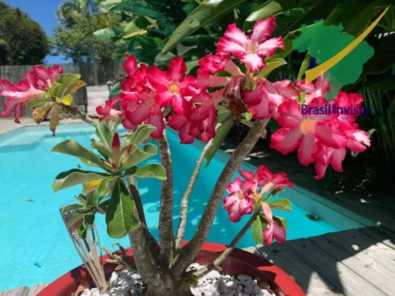 Imagem OUTEIRO DAS BRISAS