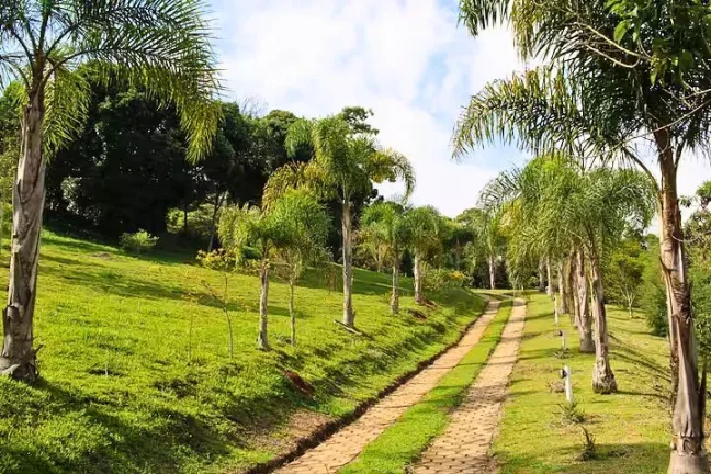 Imagem Exclusividade e Natureza: O Refúgio Definitivo no Coração do Paiol Grande