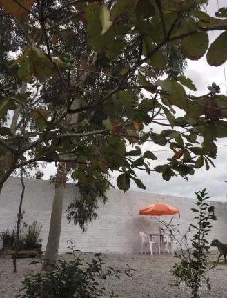 Imagem Casa à venda no bairro Ingleses do Rio Vermelho - Florianópolis/SC
