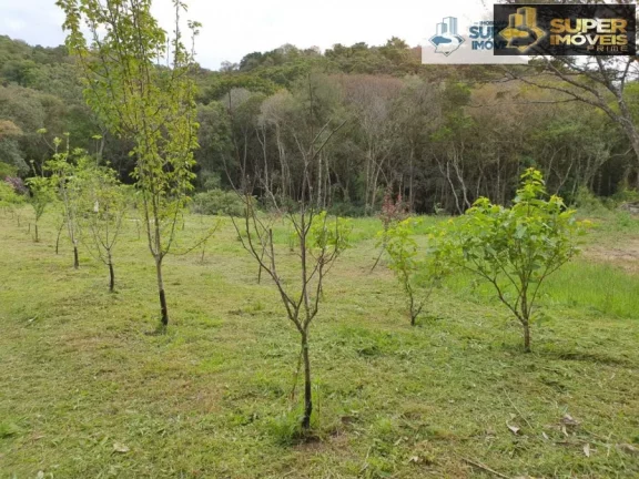 Imagem Chácara 3 hectares para Venda na BR em Cascata Pelotas-RS