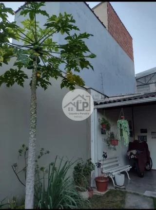 Imagem Limoeiro - Volta Redonda RJ