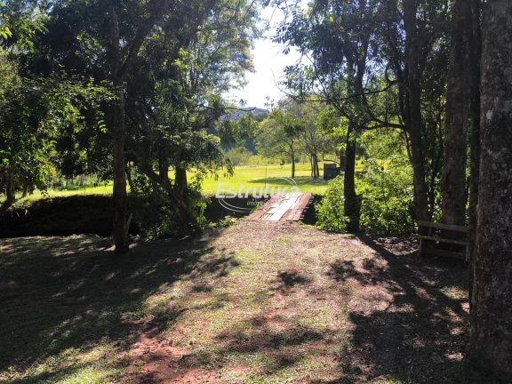 Imagem Chácara no Pé de Plátano, refúgio junto a natureza para sua família