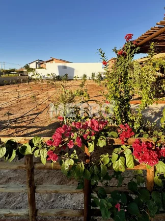 Imagem Terreno à venda, Estrada Da Tapera, 500m Brisas do Rio PETROLINA - PE