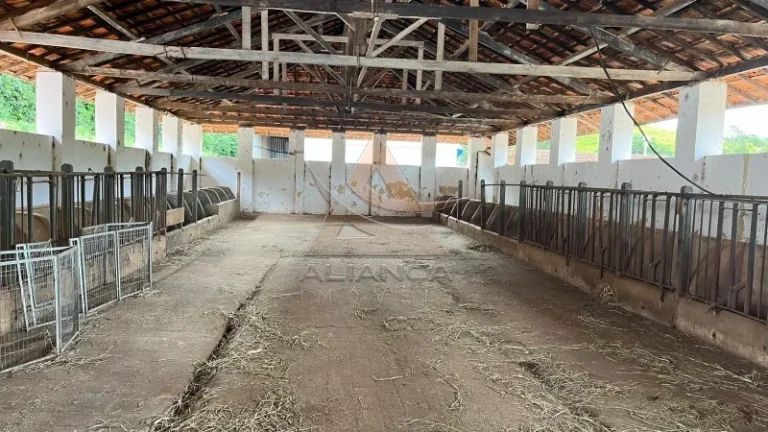 Imagem Fazenda - Oliveira - Zona Rural