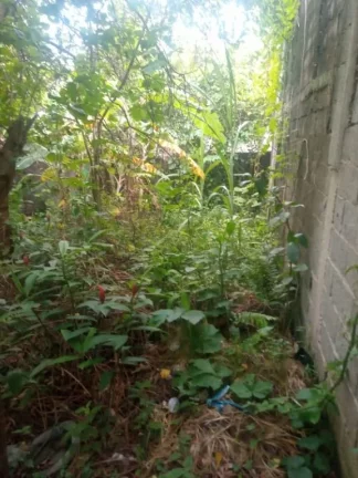 Imagem Terreno para alugar, 350 m² por R$ 2.000,00/mês - Vila do Americano - Ferraz de Vasconcelos/SP
