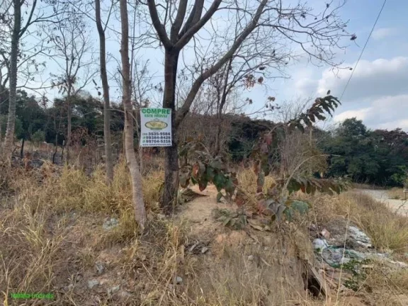 Imagem EXCELENTES LOTES, BAIRRO RECANTO DO SOL EM FLORESTAL.