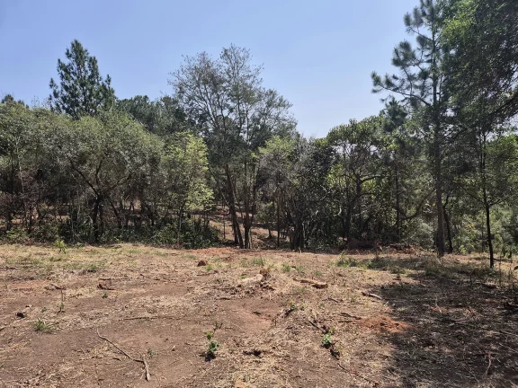 Imagem Condomínio de Chácaras Fazenda Elisa – Atibaia